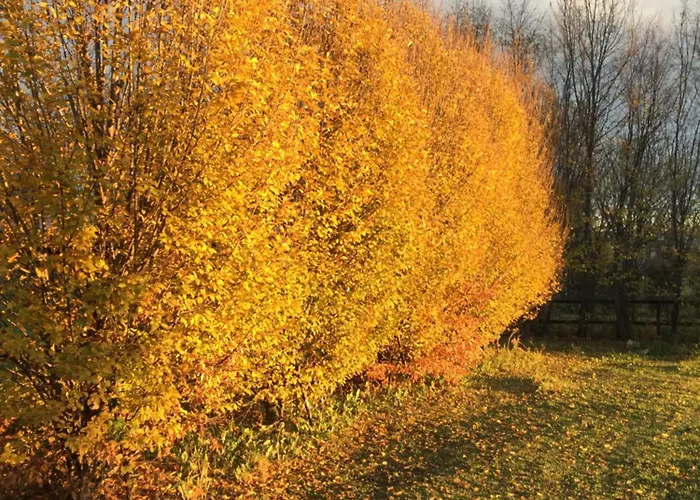 Marco Polo Szálloda